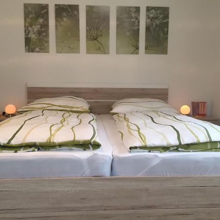 Haus Beate, Fewo Im Bienenparadies Kirchberg  Εξωτερικό φωτογραφία