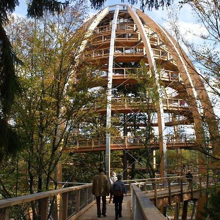 Haus Beate, Fewo Im Bienenparadies Kirchberg  Εξωτερικό φωτογραφία