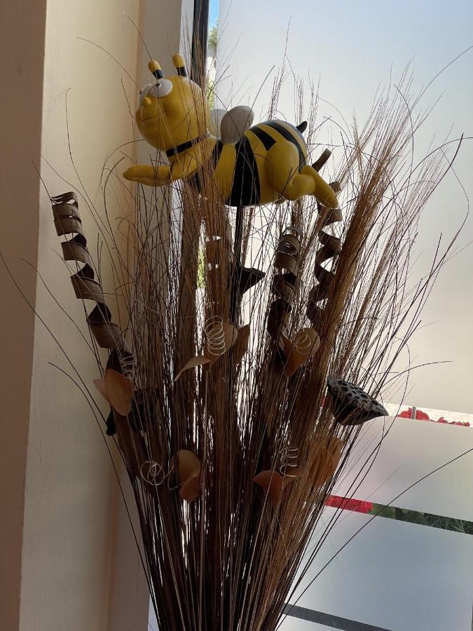 Haus Beate, Fewo Im Bienenparadies Kirchberg  Εξωτερικό φωτογραφία