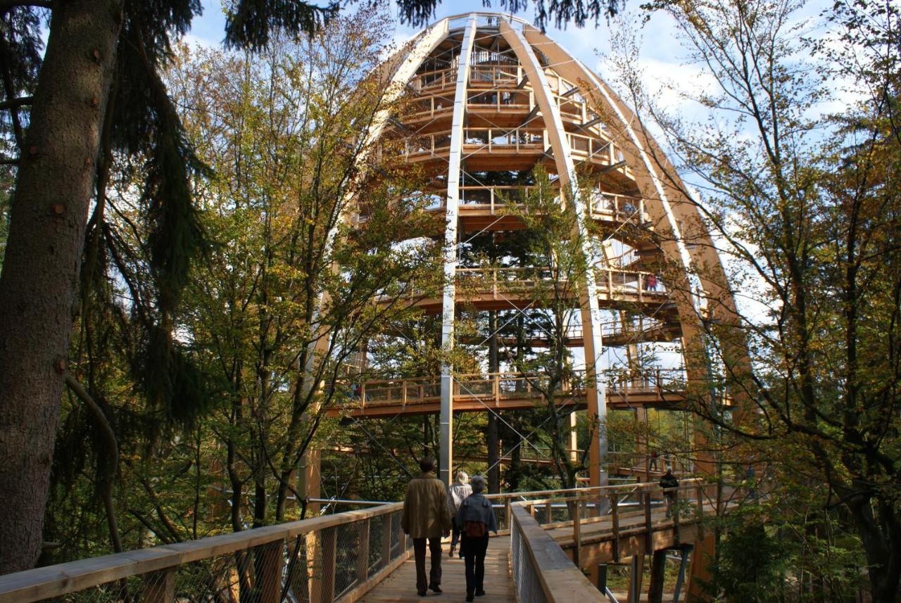 Haus Beate, Fewo Im Bienenparadies Kirchberg  Εξωτερικό φωτογραφία