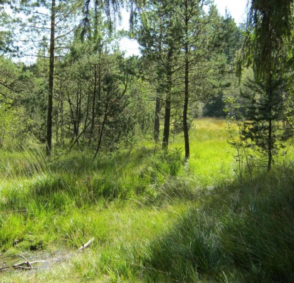 Haus Beate, Fewo Im Bienenparadies Kirchberg  Εξωτερικό φωτογραφία