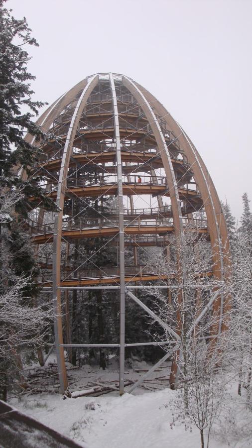 Haus Beate, Fewo Im Bienenparadies Kirchberg  Εξωτερικό φωτογραφία